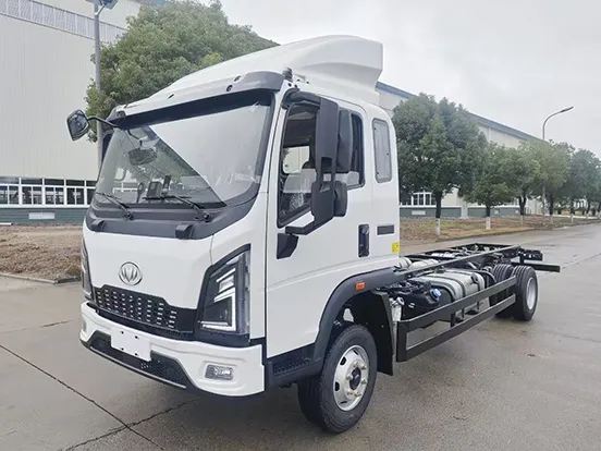 Light Duty Truck1